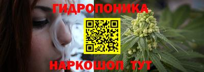 винт Будённовск
