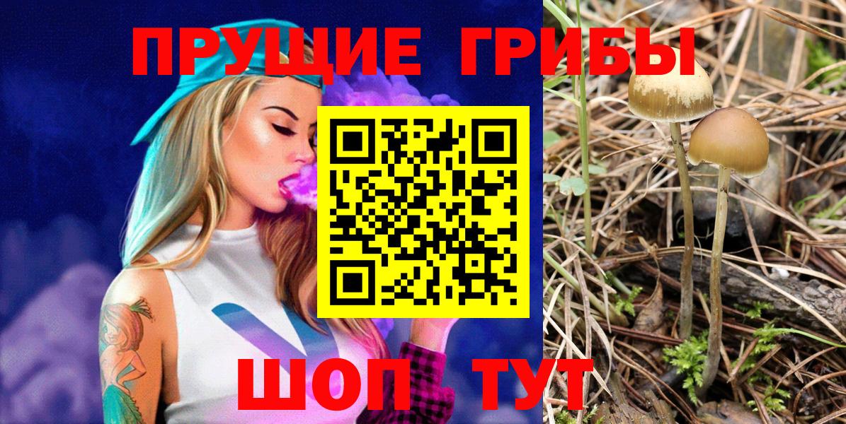 Псилоцибиновые грибы прущие грибы  Вход с VPN  Ревда 
