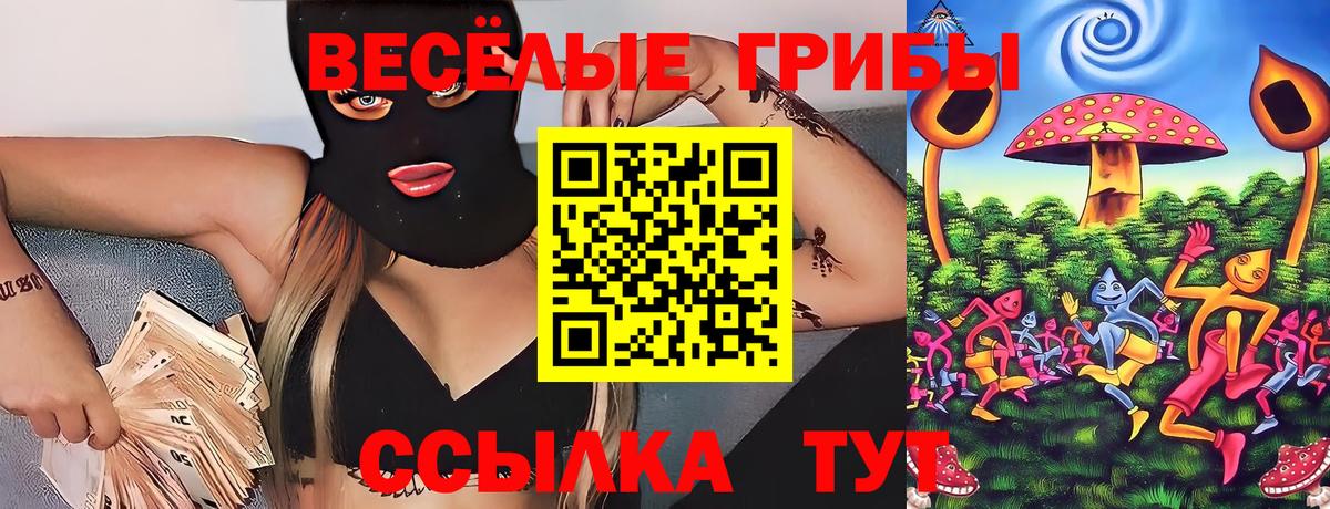 Псилоцибиновые грибы Psilocybe Ревда